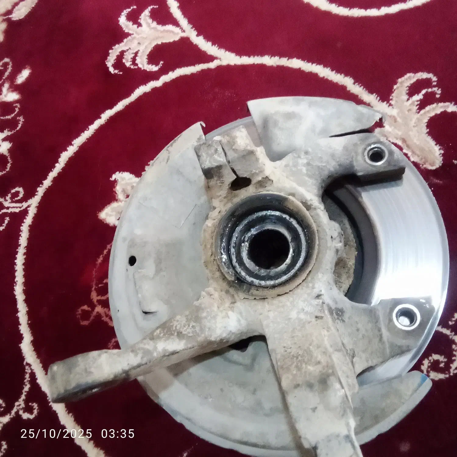 سگ دست|عمدهفروشی|زابل, |دیوار