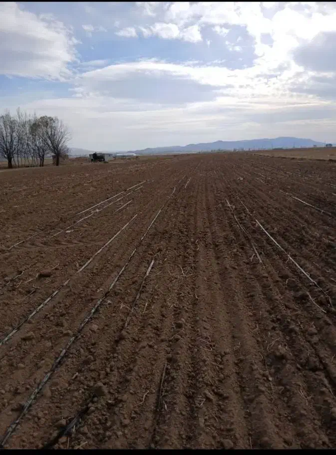 فروش زمین کشاورزی و چاه عمیق|فروش دفتر صنعتی، کشاورزی، تجاری|اردبیل, |دیوار