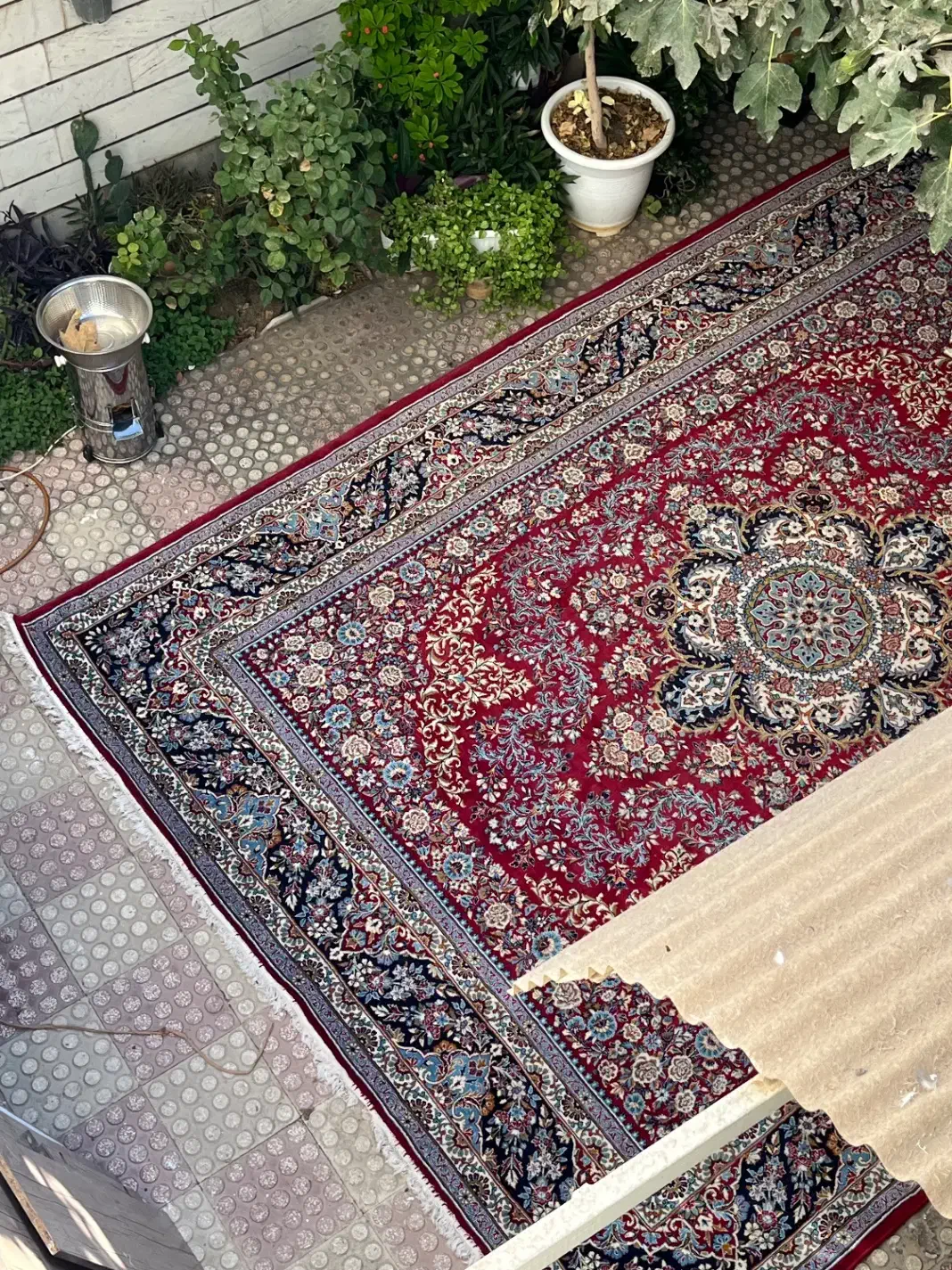 فرش ۱۲ متری|فرش|قزوین, |دیوار