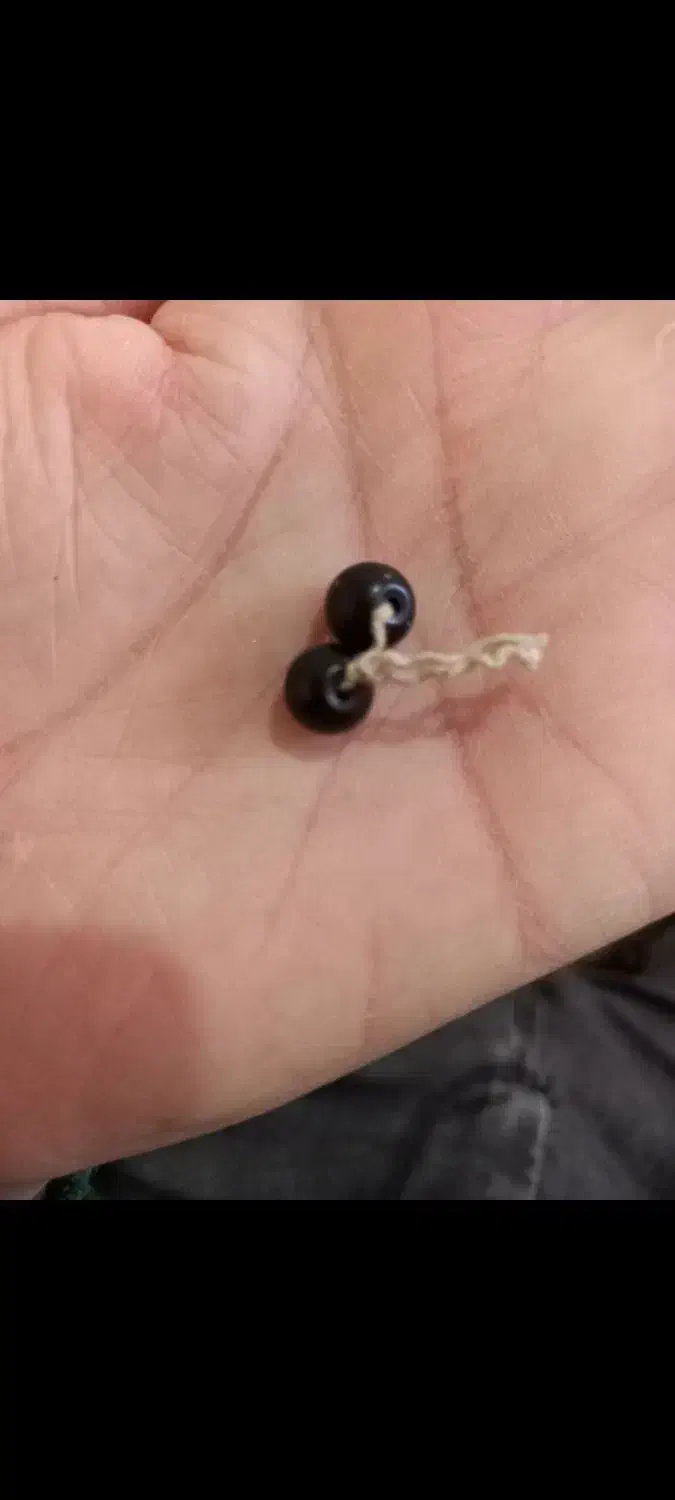 دوربین عکاسی مهره مشکی|دوربین عکاسی و فیلم‌برداری|ایلام, |دیوار