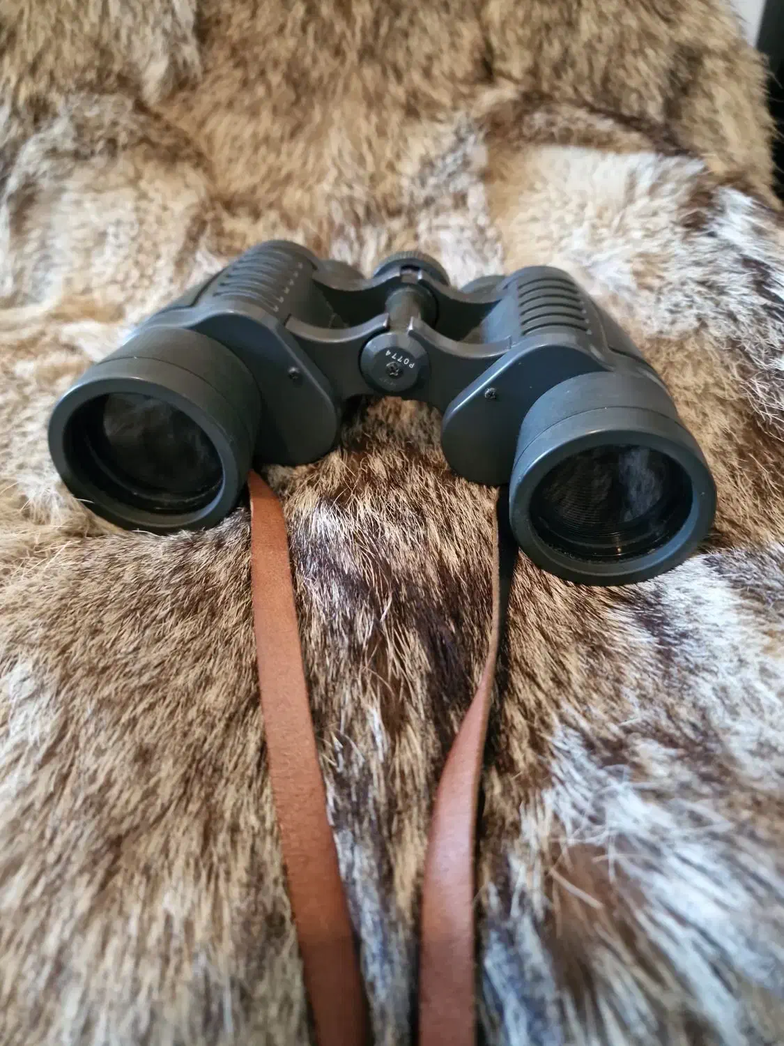 دوربین شکاری|کوهنوردی و کمپینگ|شیراز, باغ تخت|دیوار