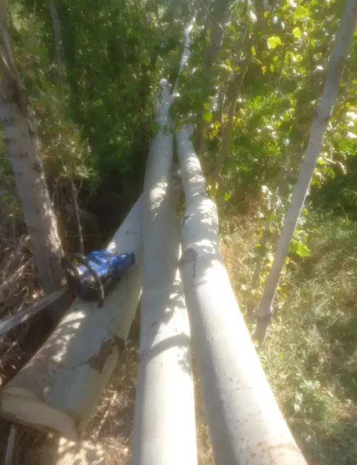 خریدار چوب تر و خشک|خدمات باغبانی و درختکاری|چالدران, |دیوار