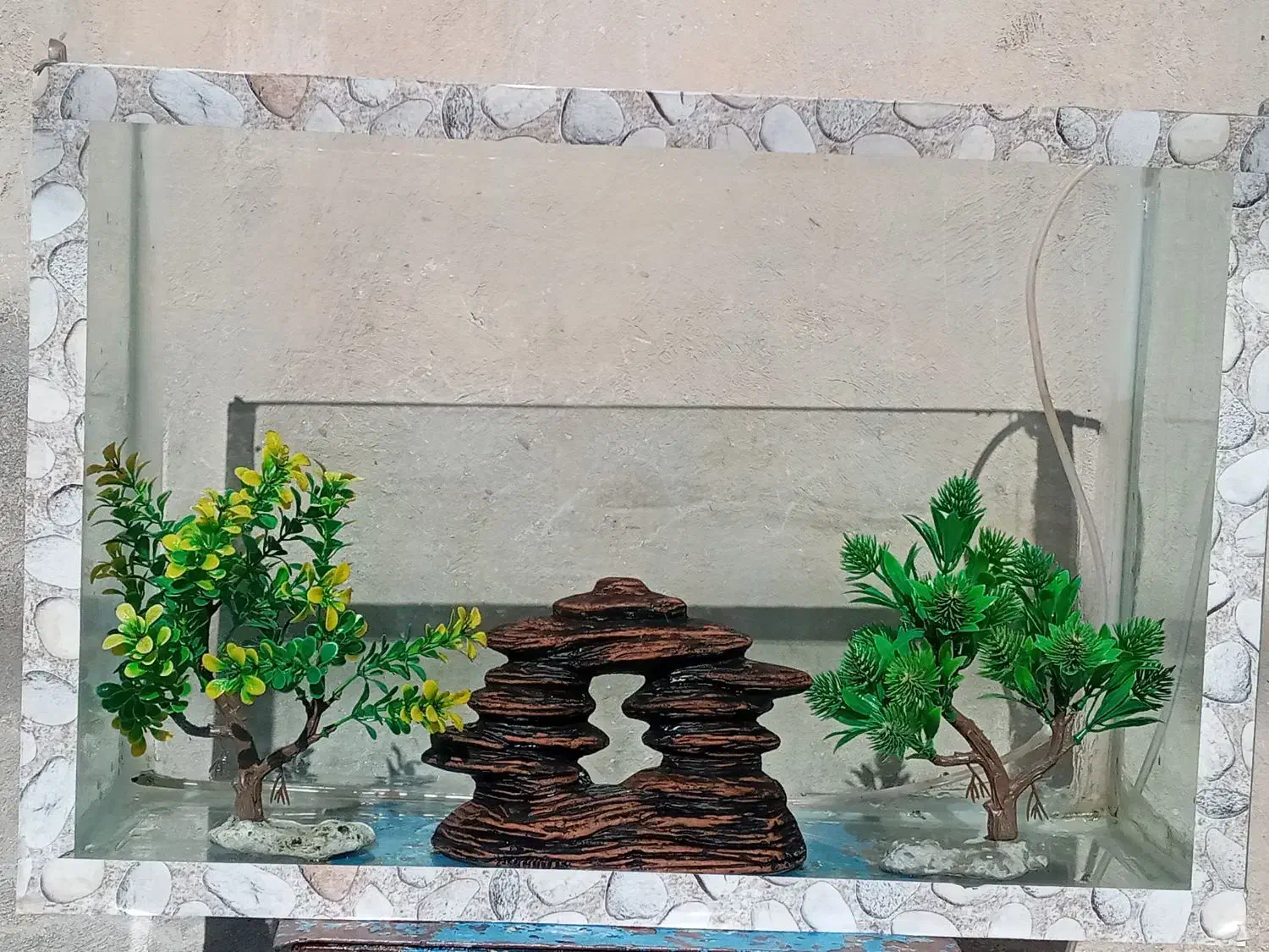 آکواریوم با تمام وسایل|ماهی|مراغه, |دیوار