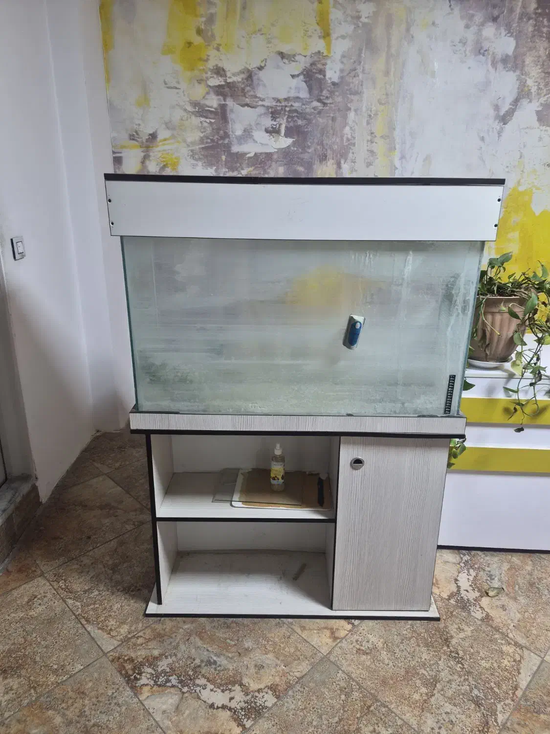 آکواریوم|ماهی|هشتگرد, شهرک ایران خودرو|دیوار