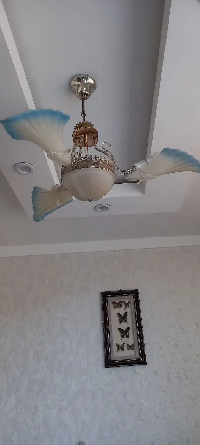 لوستر، ساعت دیواری، ساعت ایستاده|لوستر و چراغ آویز|محمدیه-قزوین, |دیوار