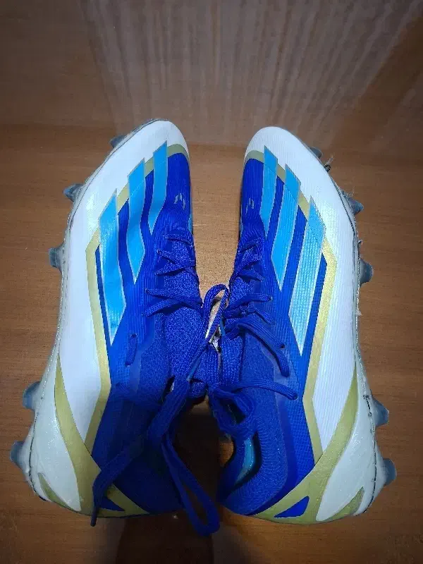 کفش|کیف، کفش، کمربند|بهارستان, |دیوار