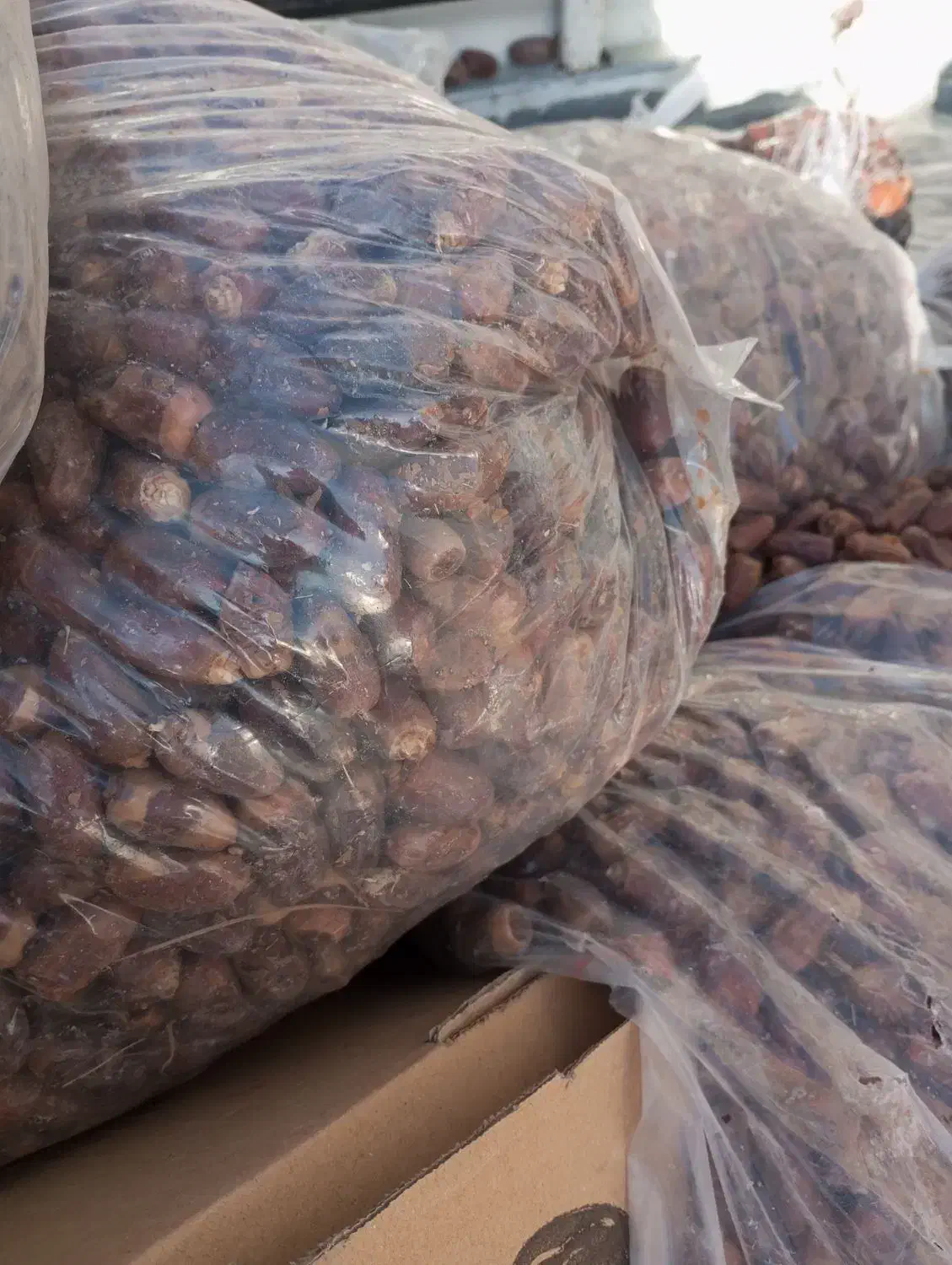 خرما ارزان|خوردنی و آشامیدنی|مهریز, |دیوار