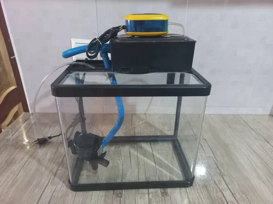 اکواریوم شیشه خم|ماهی|کرج, حصار|دیوار