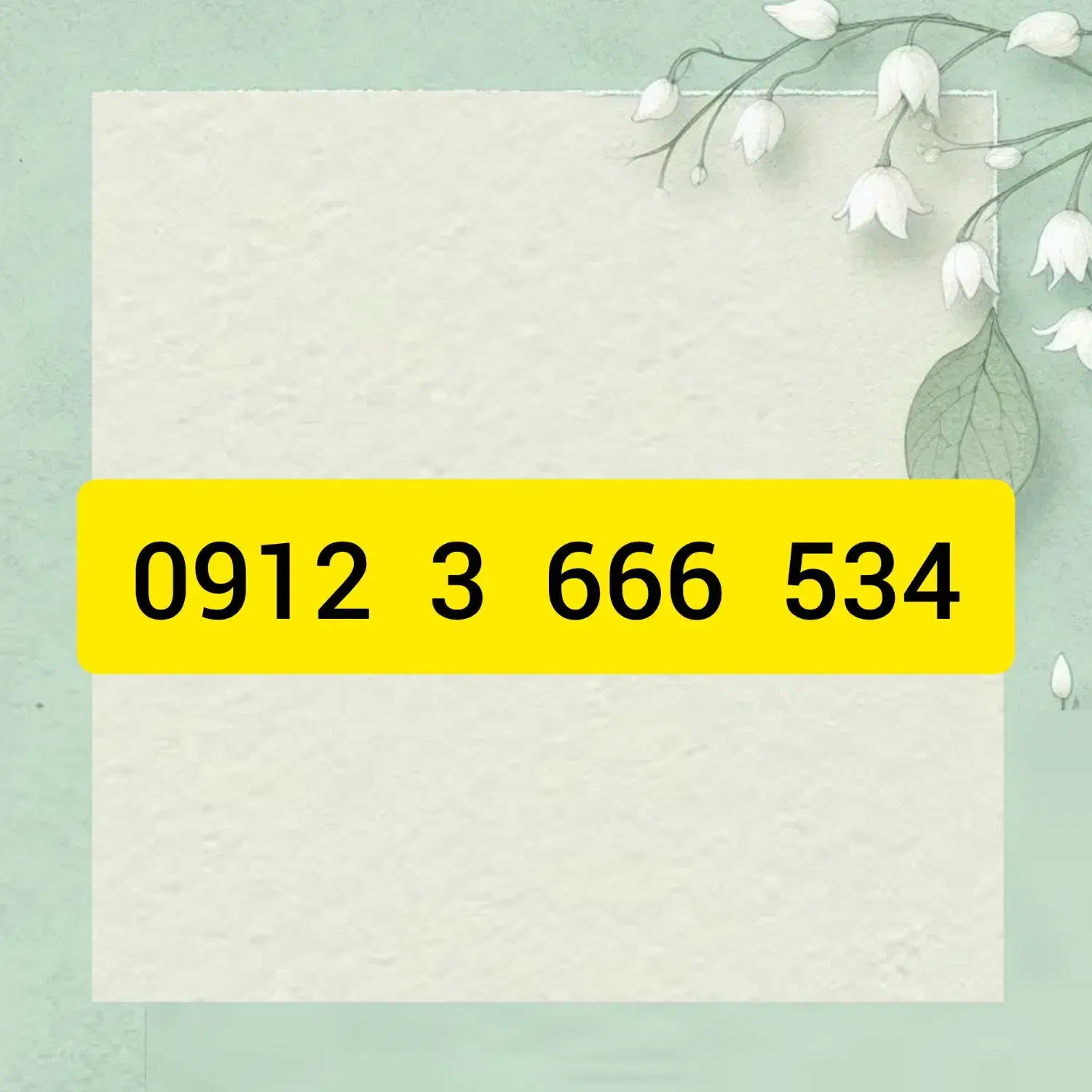 0912.3.666.534|سیم‌کارت|تهران, افسریه جنوبی|دیوار