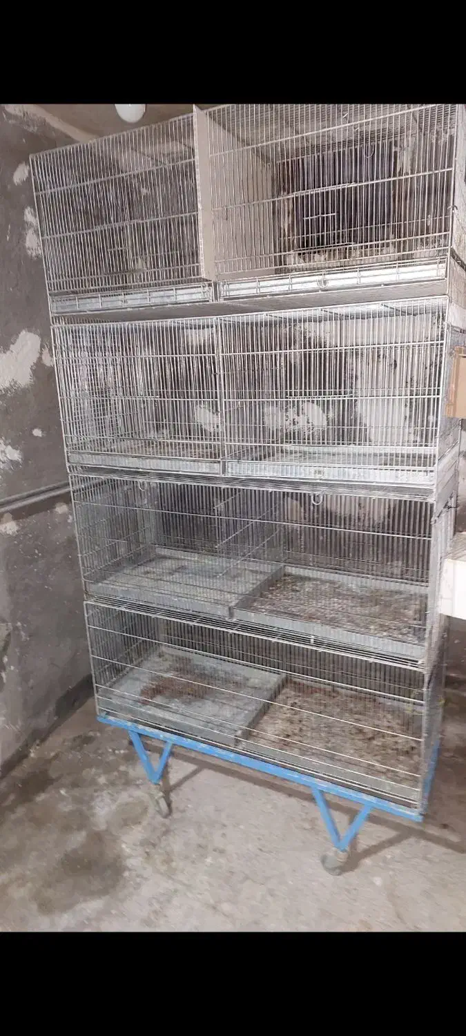 قفس چهار طبقه|لوازم جانبی حیوانات|مرند, |دیوار