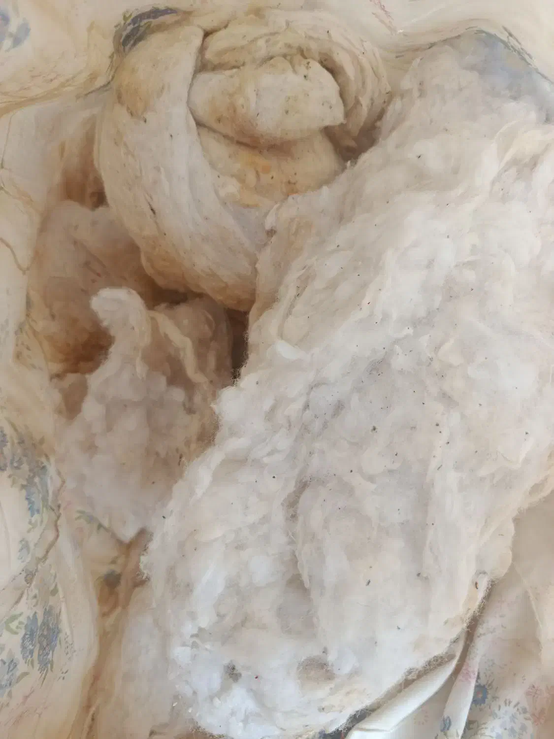 پنبه|رختخواب، بالش، پتو|رفسنجان, |دیوار