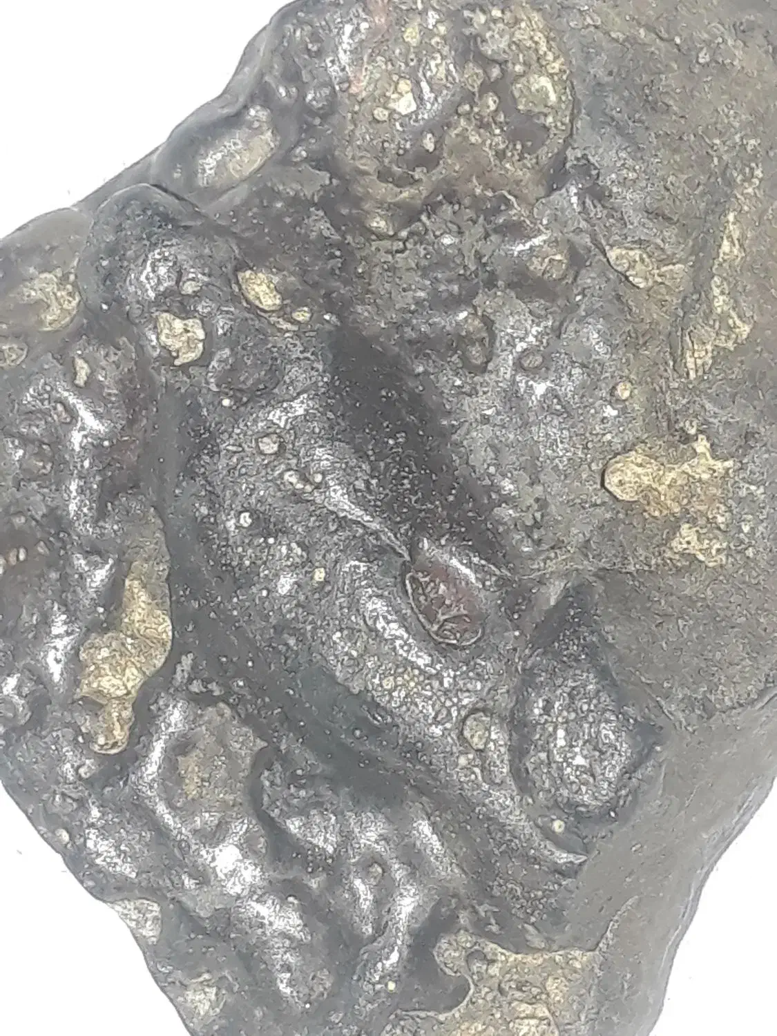 شهاب آسمانی|کلکسیون و سرگرمی|نطنز, |دیوار