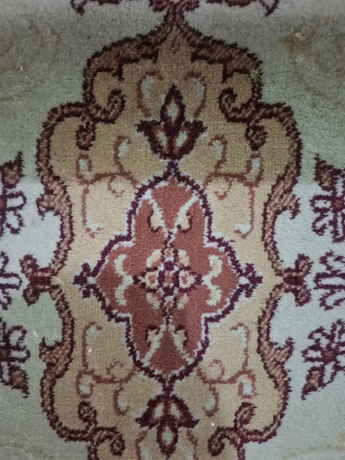 کناره قالی مشهد تمام نخ|گلیم، جاجیم، گبه|مشهد, موسوی قوچانی|دیوار