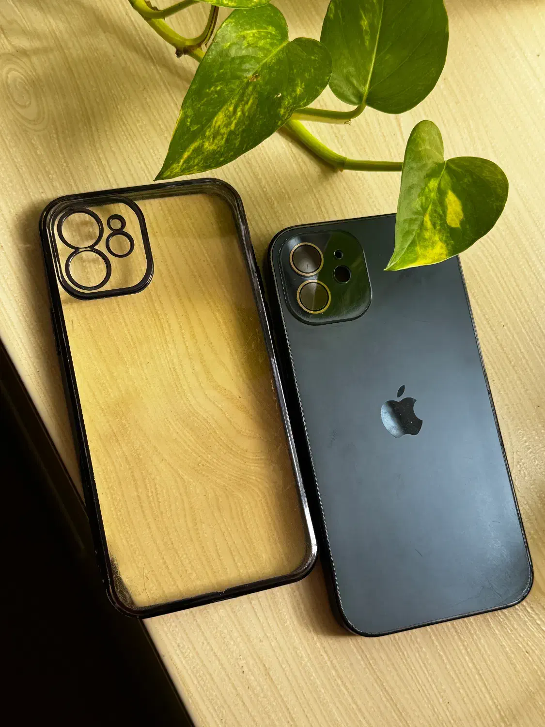 ۶ عدد گارد موبایل آیفون ۱۲|لوازم جانبی موبایل و تبلت|تربتحیدریه, قائم|دیوار