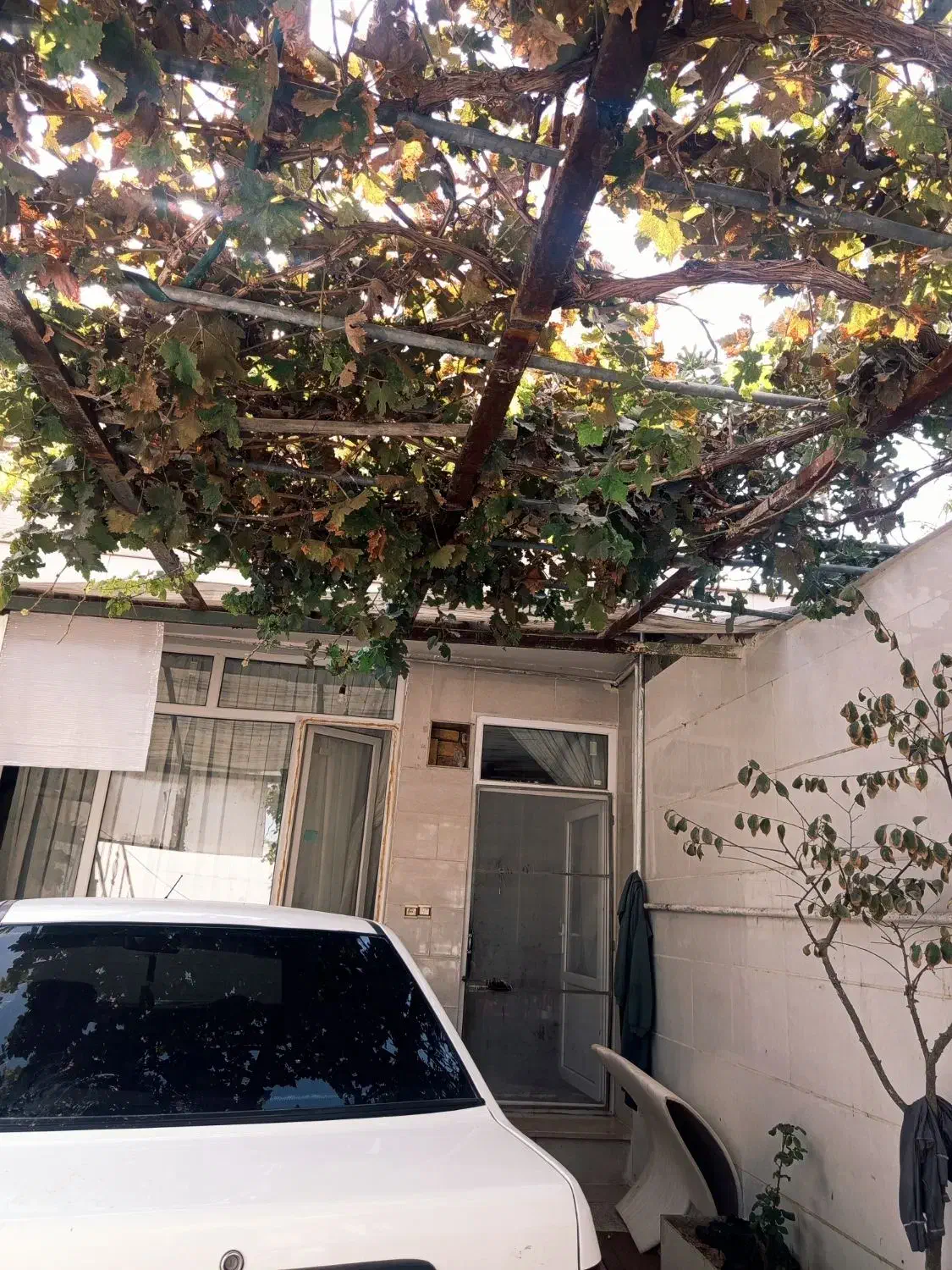 خانه اجاره ای|اجارهٔ خانه و ویلا|تاکستان, |دیوار