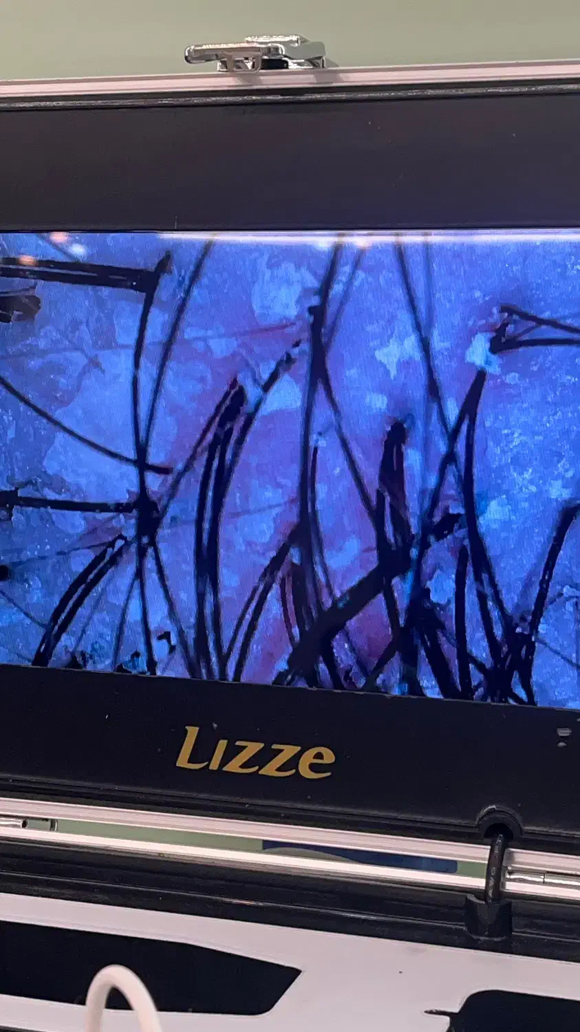 اموزش تخصصی لاین اسکراپ اسکالپ|خدمات آموزشی|اصفهان, خانه اصفهان|دیوار