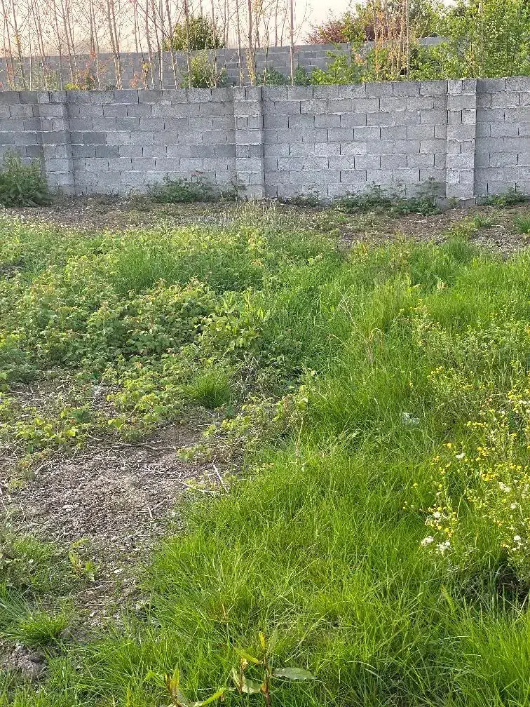 ۳۱۰ متر زمین مسکونی سندار|فروش زمین و ملک کلنگی|خمام, |دیوار