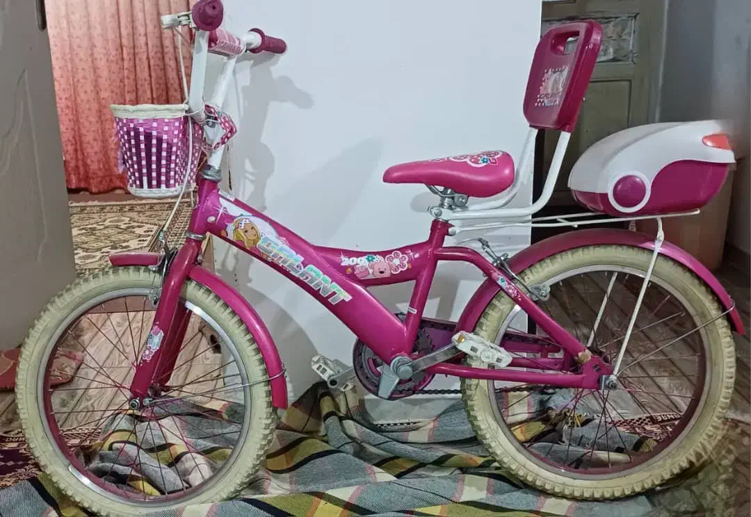 دوچرخه سایز ۲۰ دخترانه|دوچرخه، اسکیت، اسکوتر|لاهیجان, گلستان|دیوار