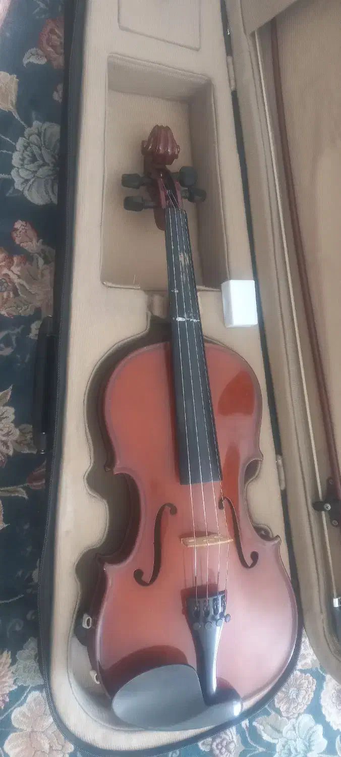 ویولون هافنر|ویولن|کاشمر, |دیوار