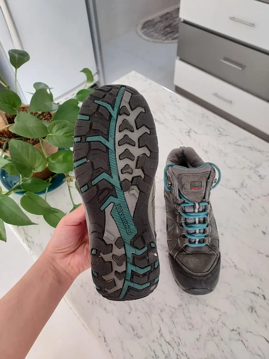 کفش کوهنوردی|کیف، کفش، کمربند|سلماس, |دیوار