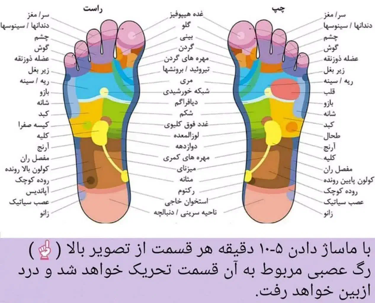 خدمات انواع ماساژ کلاسیک و انواع حجامت خاص و عام|خدمات آرایشگری و زیبایی|خواف, |دیوار
