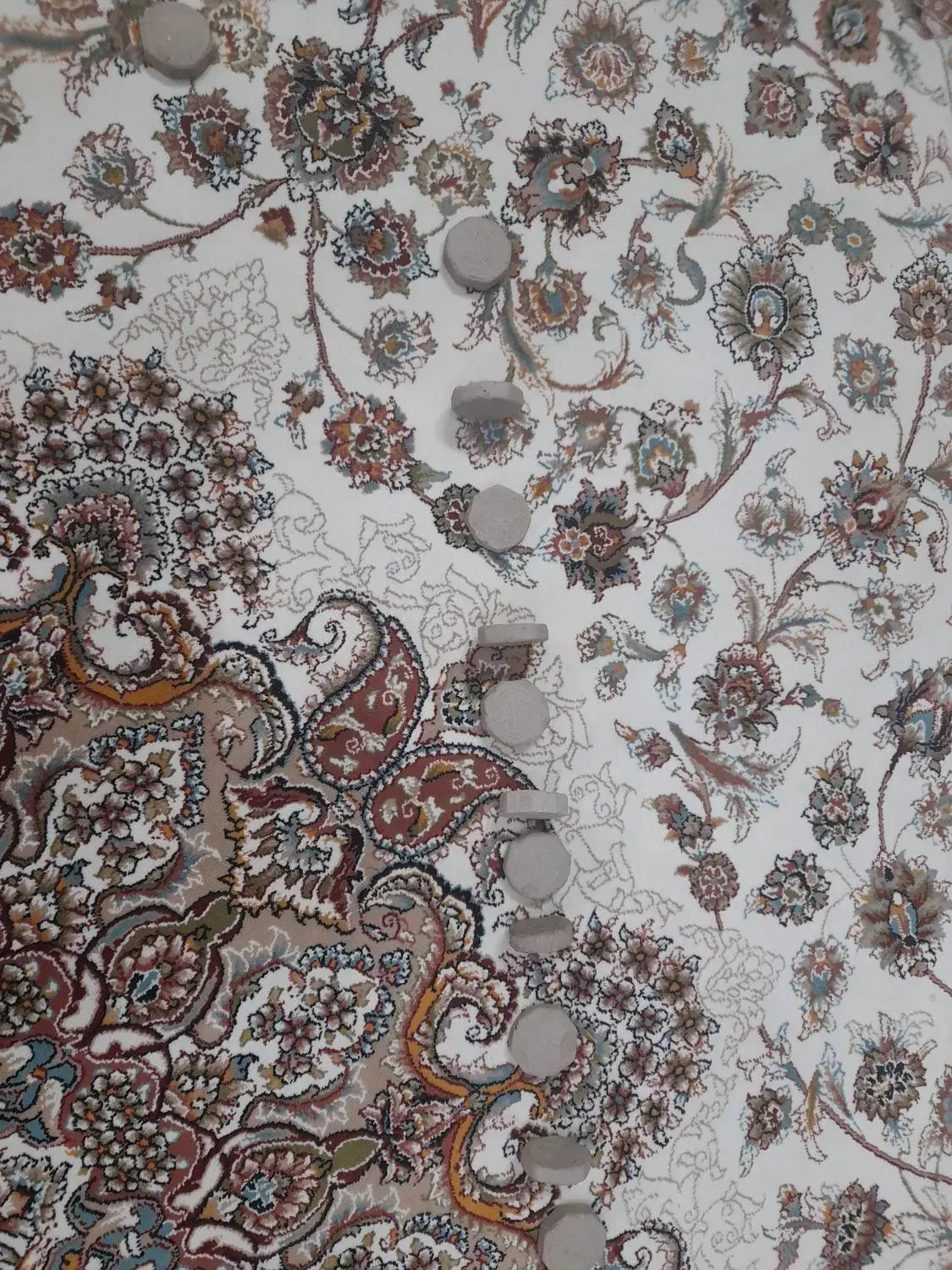 فروش فرش|فرش|کاشان, فاز ۱ ناجی آباد|دیوار