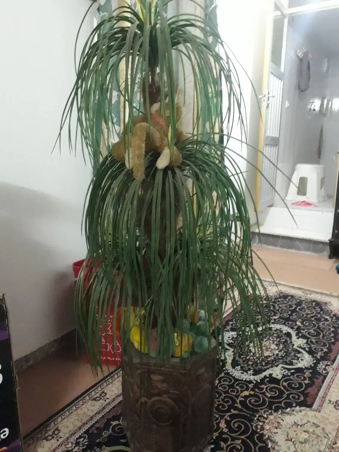 درخت نخل مصنوعی|گل مصنوعی|اهواز, زندوکیلی|دیوار