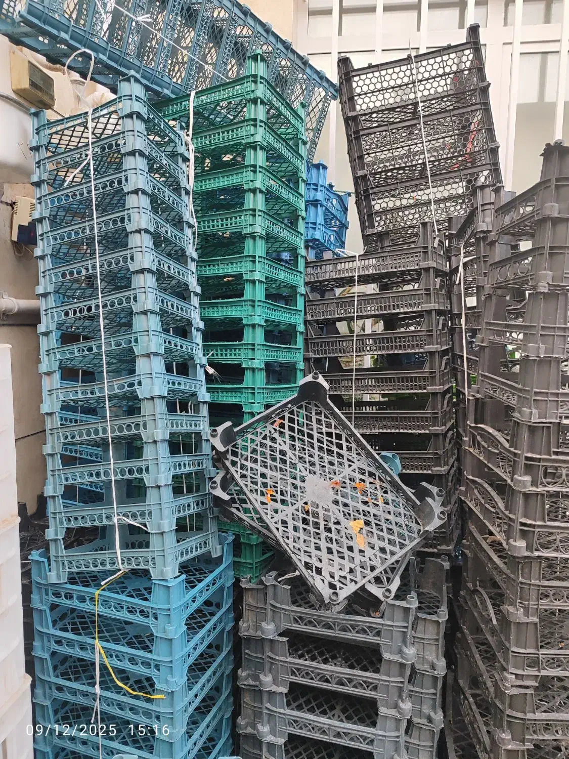 سبد|ظروف نگهدارنده، پلاستیکی، یکبارمصرف|همدان, |دیوار