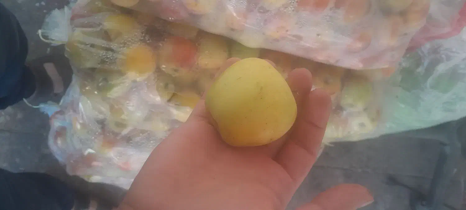 پخش سیب سمیرم|خوردنی و آشامیدنی|اصفهان, پوریای ولی|دیوار