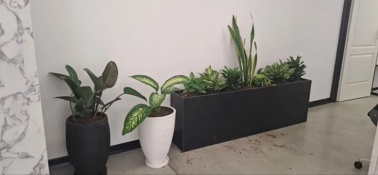 خدمات باغبانی در محل تعویض خاک گلدان منزل وشرکت|خدمات باغبانی و درختکاری|تهران, پاسداران|دیوار