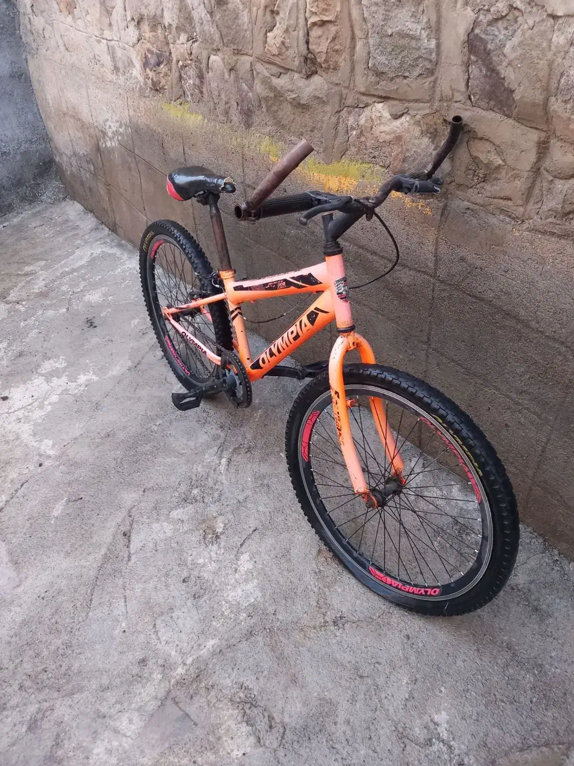 دوچرخه ۲۴|دوچرخه، اسکیت، اسکوتر|انگوت, |دیوار