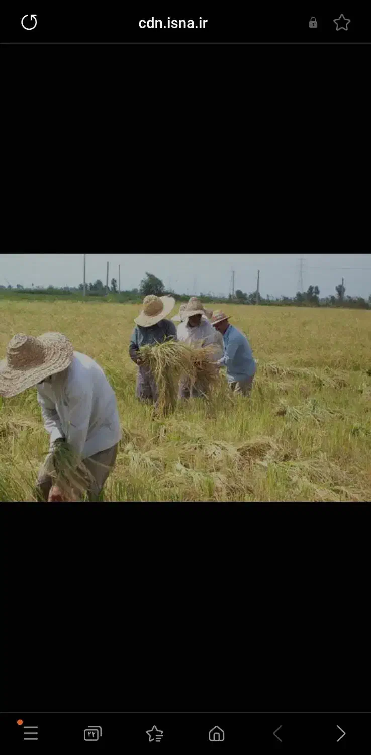 سرکارگرهسم کارگر آقا و خانم نیازداریم|استخدام صنعتی، فنی، مهندسی|پارس‌آباد, |دیوار