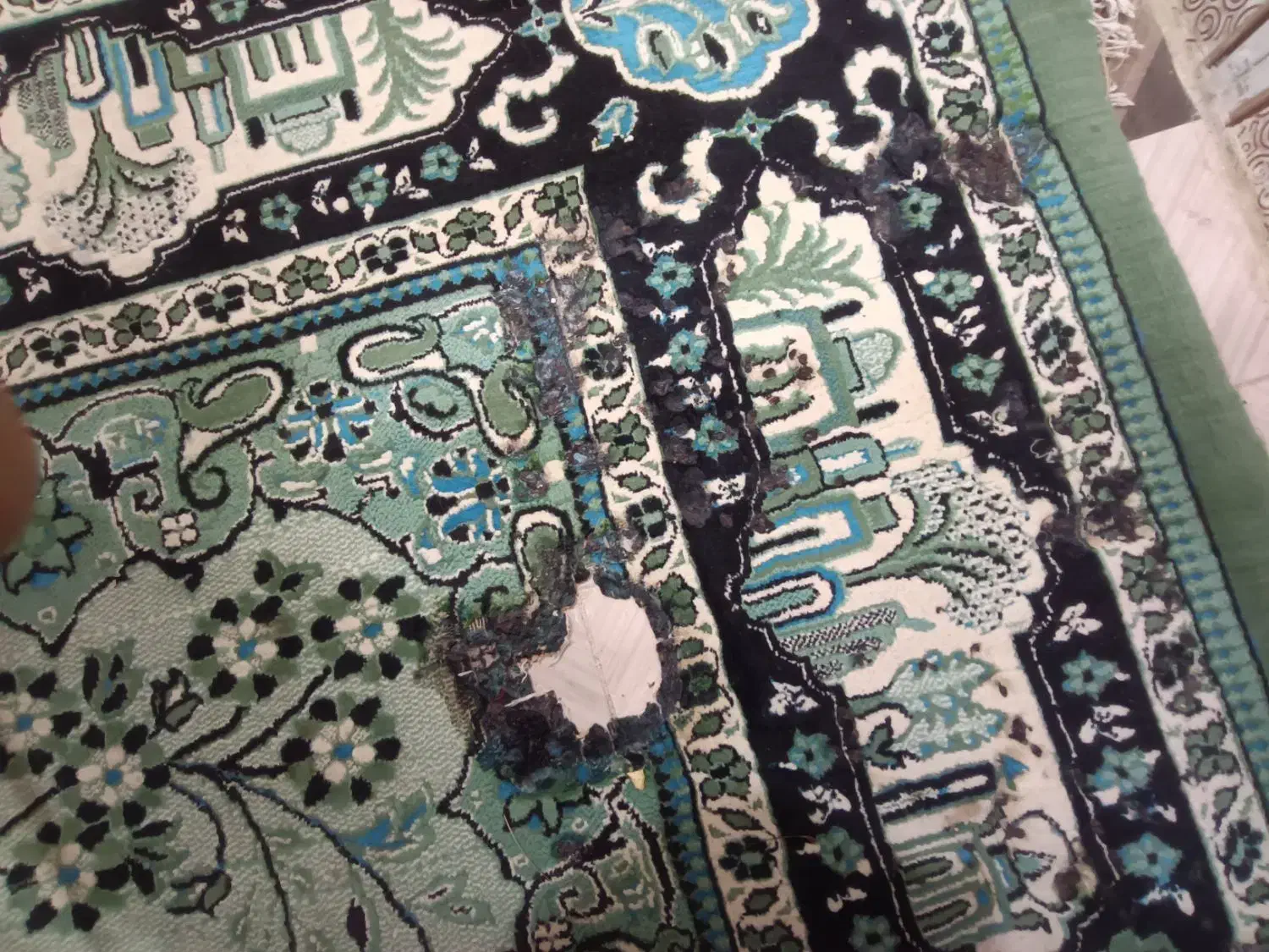 دو عدد فرش|فرش|کارون, |دیوار