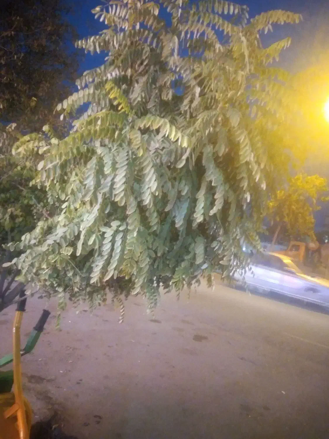 سوله و زمین کاربری شده|فروش دفتر صنعتی، کشاورزی، تجاری|اسلام آباد, |دیوار