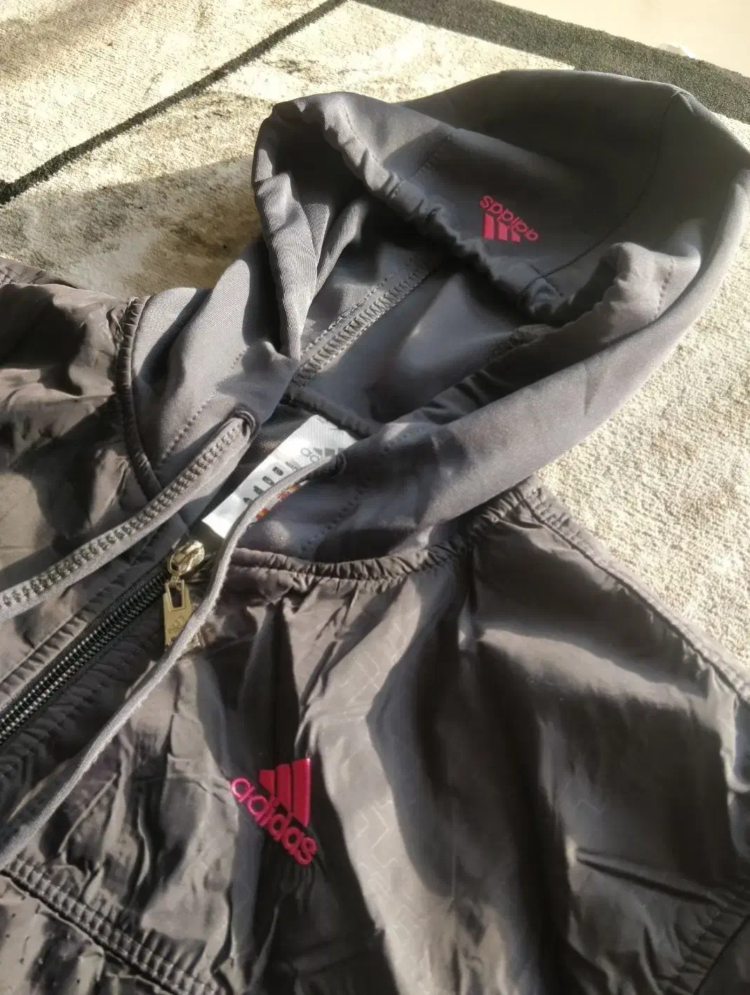 هشت عدد گرمکن و شلوار ورزشی و شلوارک|تجهیزات ورزشی|تهران, گلستان (شهرک راه آهن)|دیوار