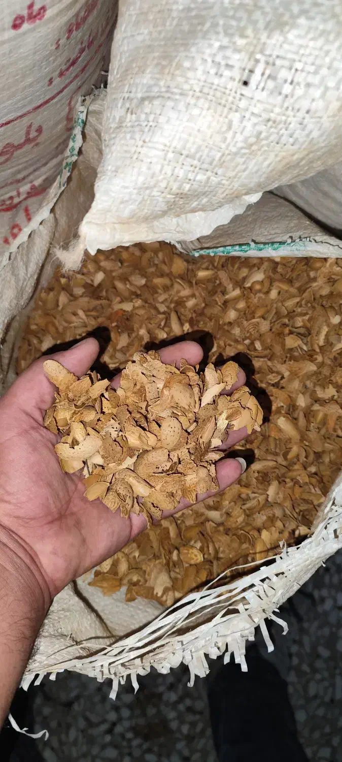 پوست بادام|خدمات باغبانی و درختکاری|نجف‌آباد, یزدانشهر|دیوار