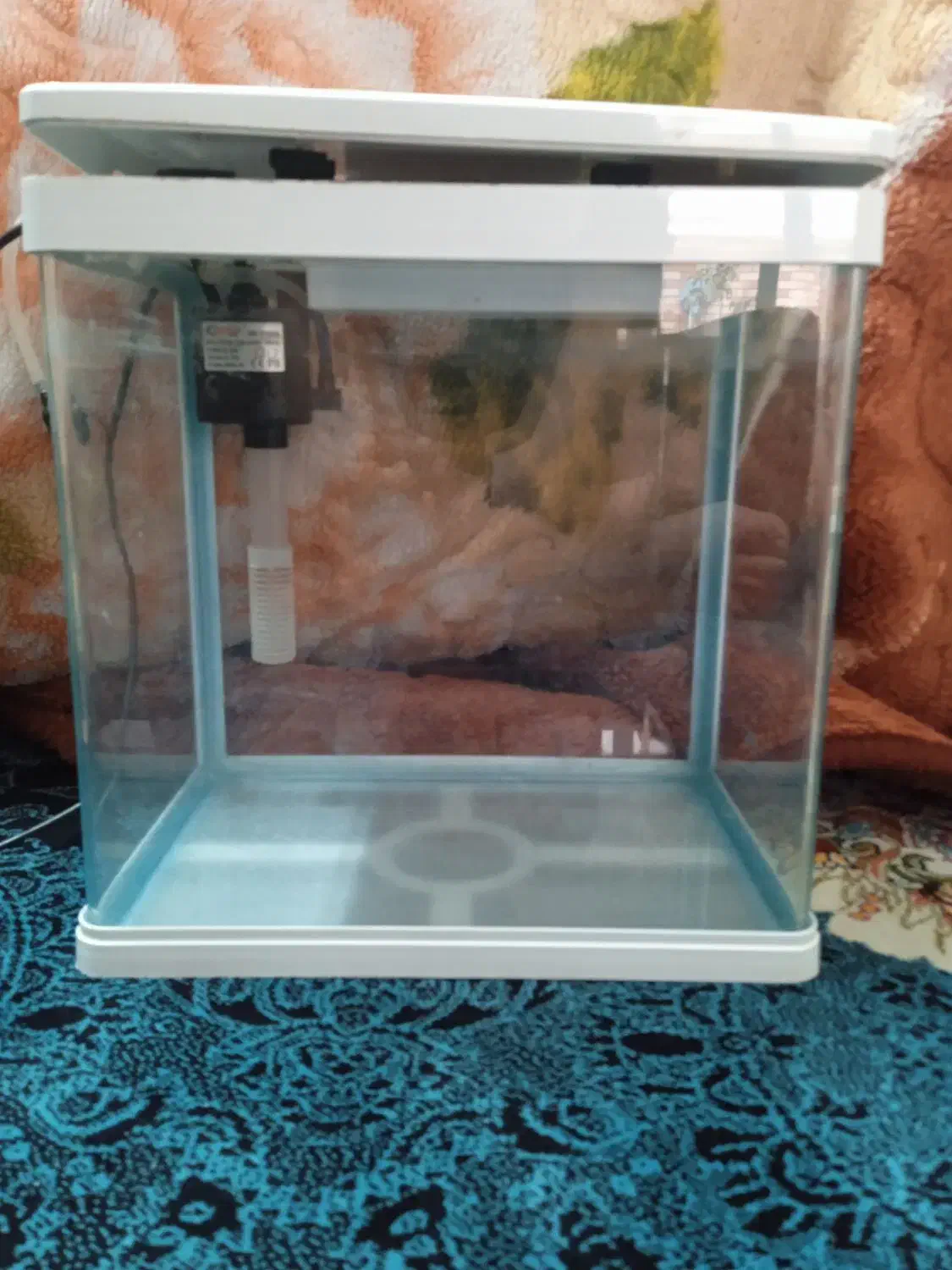 اکواریومدلسا|ماهی|شهرضا, |دیوار