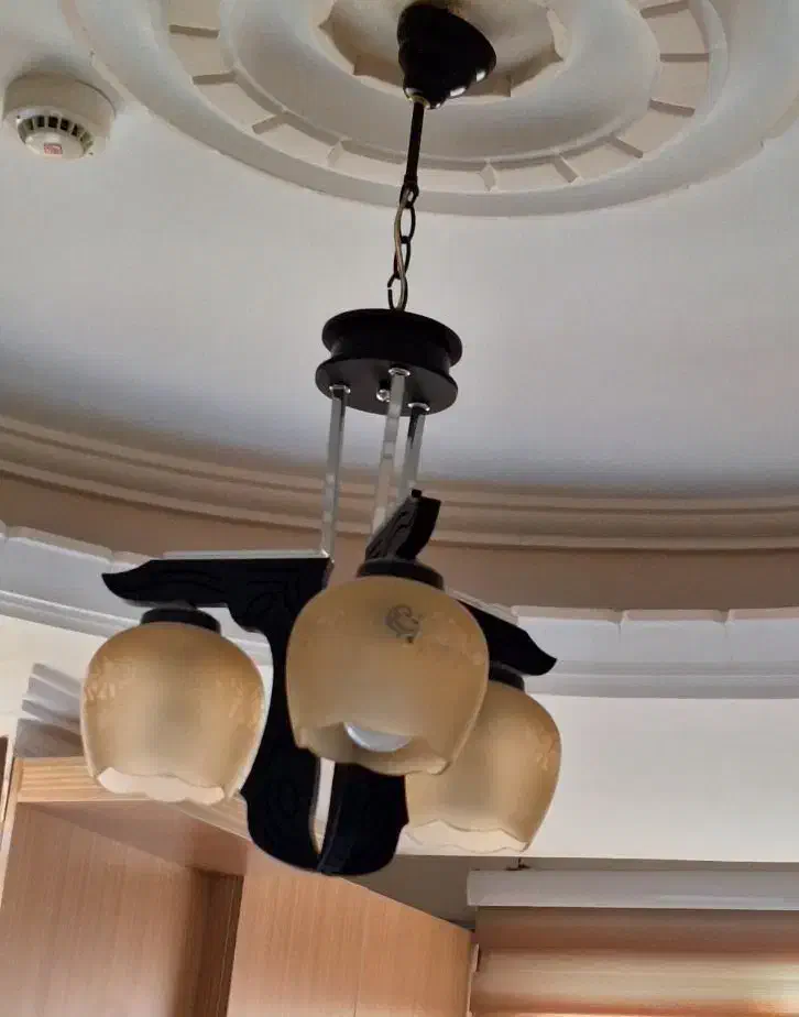 لوستر|لوستر و چراغ آویز|تبریز, |دیوار