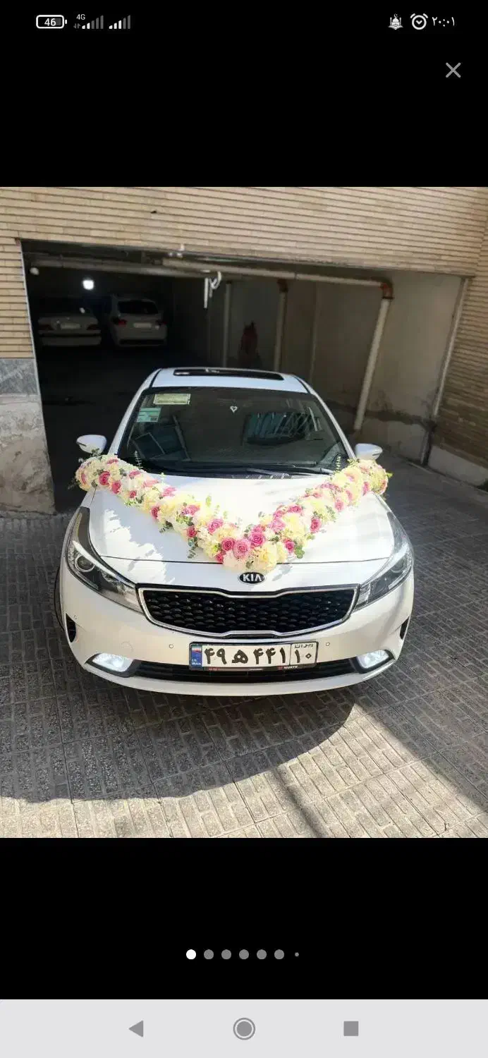 تزیینات گل طبیعی|گل و گیاه طبیعی|ری, بازار گل خاوران|دیوار