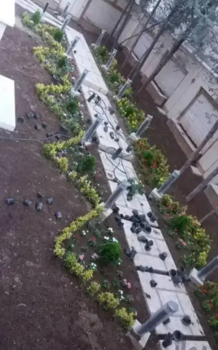 خدمات باغبانی گل کاری هرس کاری تعویض خاک گلدان|خدمات باغبانی و درختکاری|تهران, گیشا|دیوار