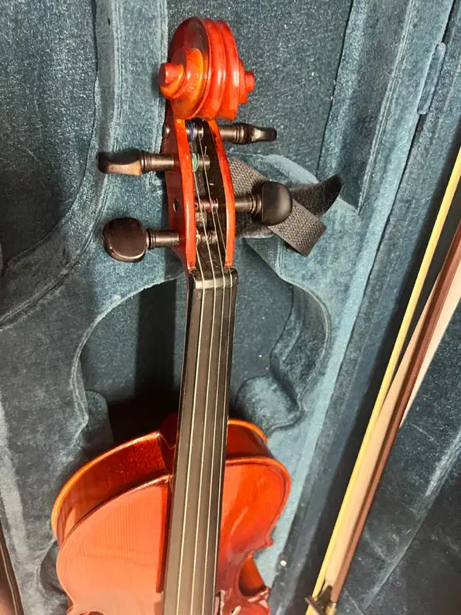 ویالون mv 146|ویولن|تهران, صادقیه|دیوار