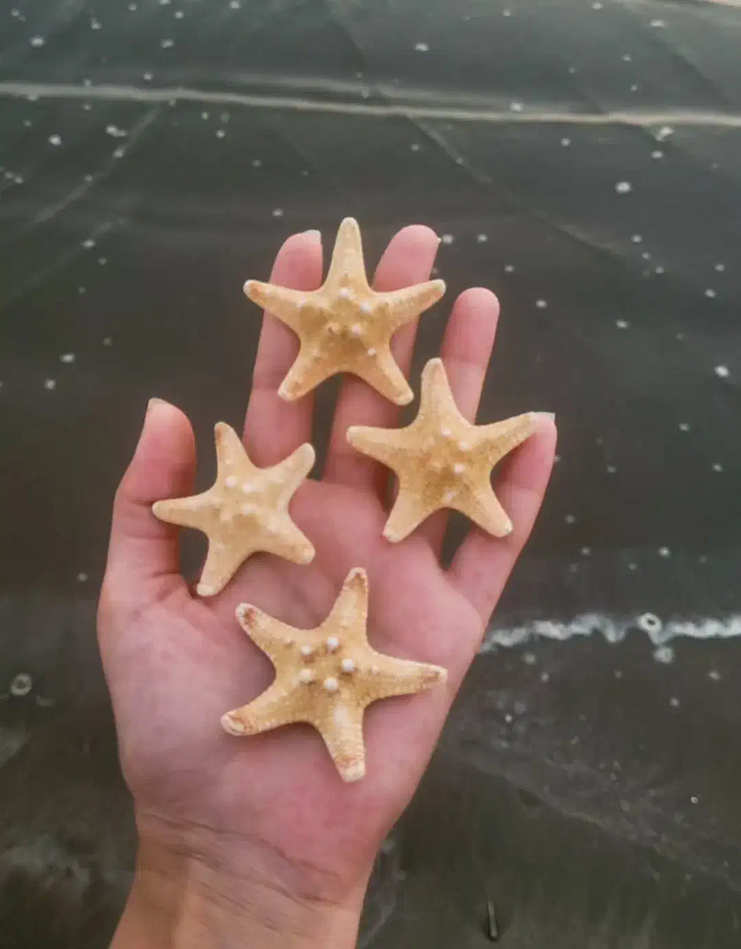 تزینات|ماهی|بندر کنگان, |دیوار