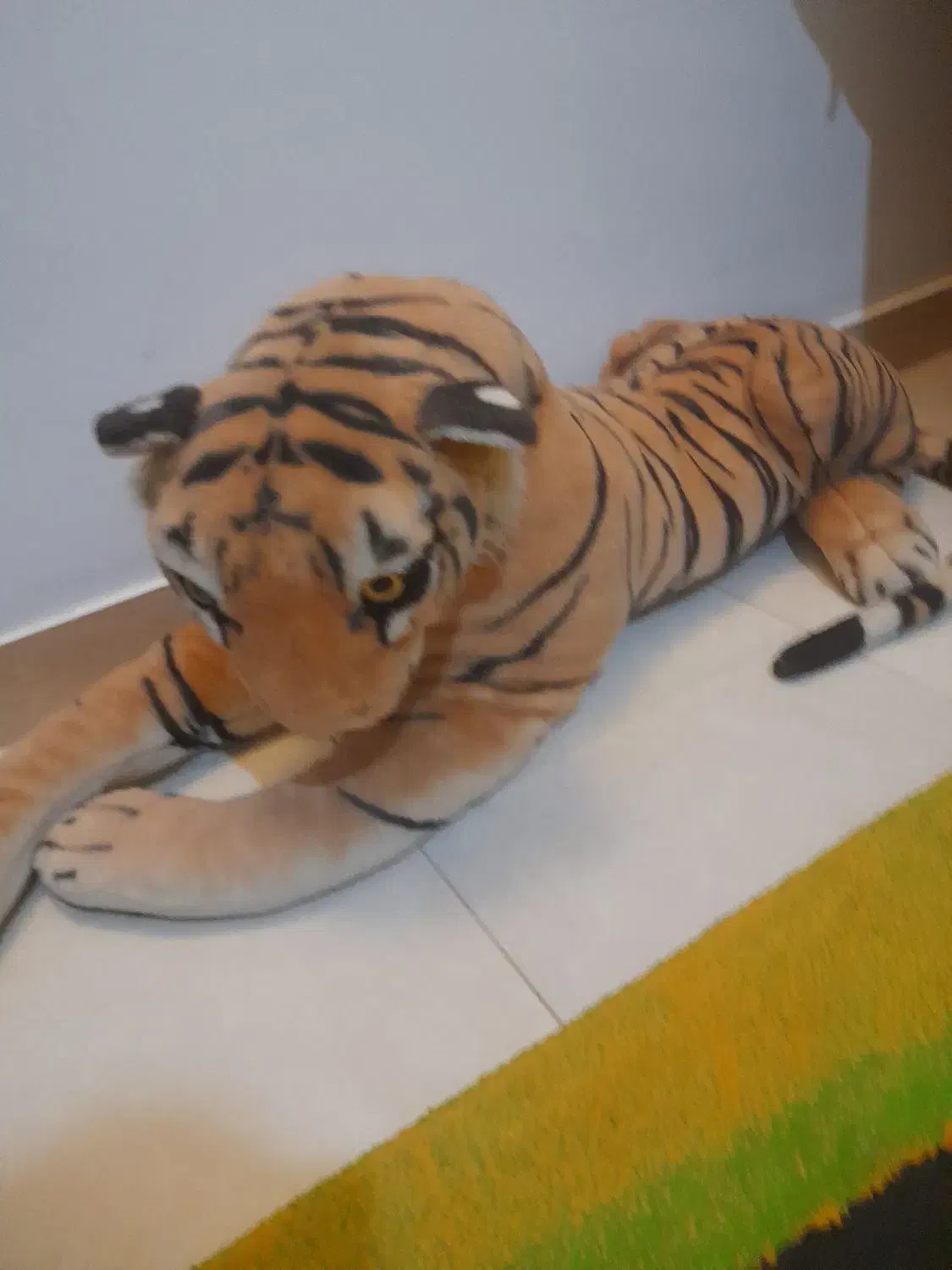 عروسک و فرش اتاق کودک سالم|اسباب و اثاث بچه|رشت, استادسرا|دیوار