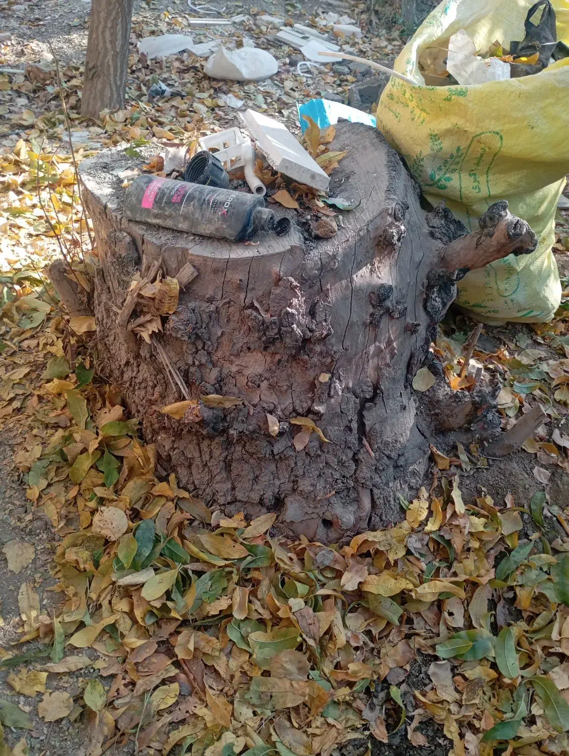 تنه درخت به صورت رایگان|گل و گیاه طبیعی|چهاردانگه (تهران), |دیوار