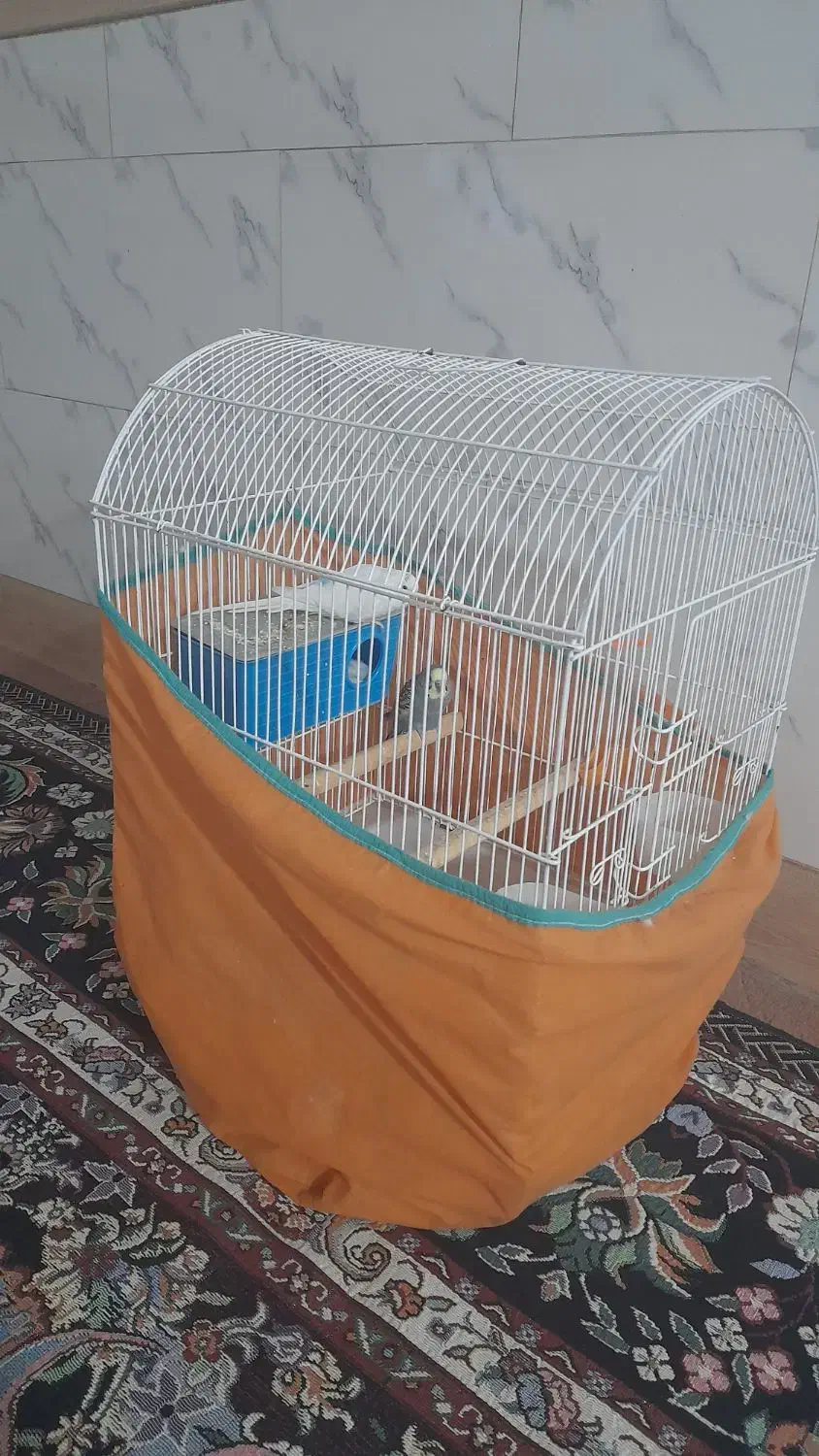 دو عده مرغ عشق سالم وسر حال با قفس یکجا|پرنده|آق قلا, |دیوار