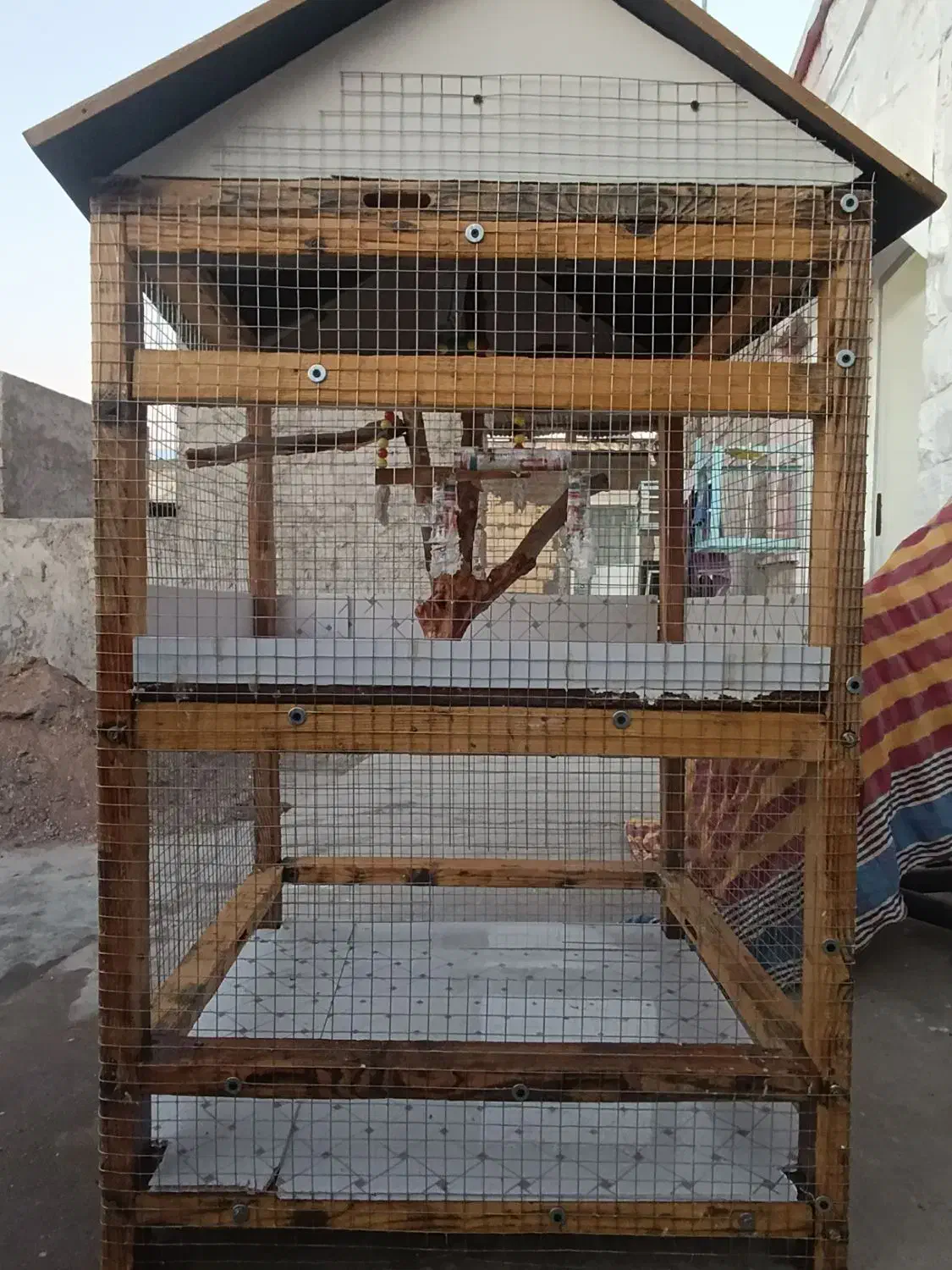 قفس|لوازم جانبی حیوانات|مسجد سلیمان, |دیوار