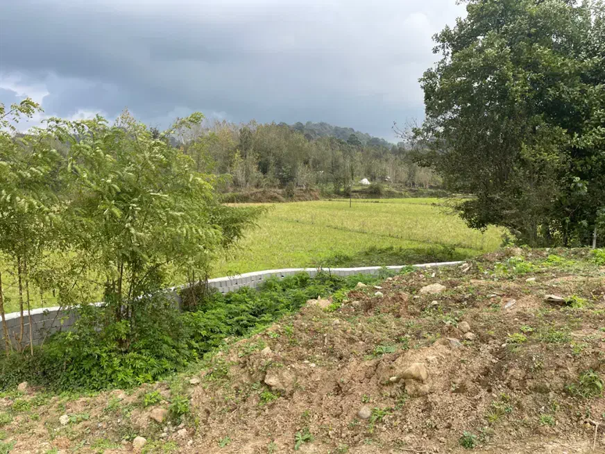 ۲۵۰متر/مسکونی ویودار/مراد دهنده|فروش زمین و ملک کلنگی|لاهیجان, لیل|دیوار