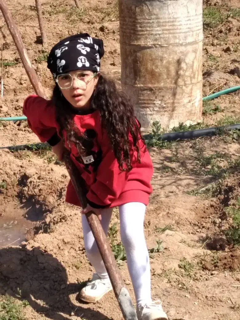 زعفران|گل و گیاه طبیعی|فرخشهر, |دیوار