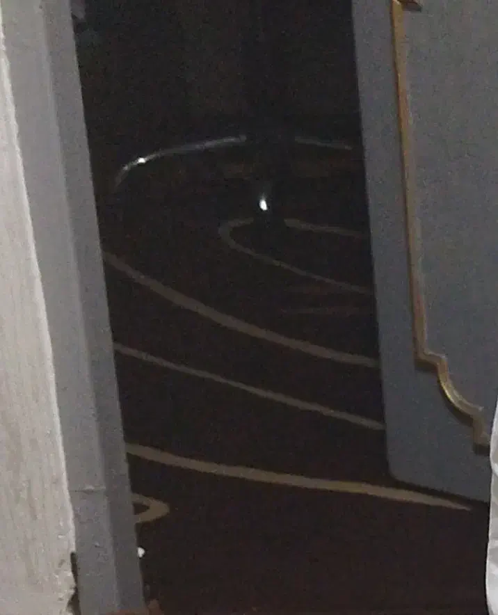 گلیم فرش نه متری|گلیم، جاجیم، گبه|بندر امام خمینی, |دیوار