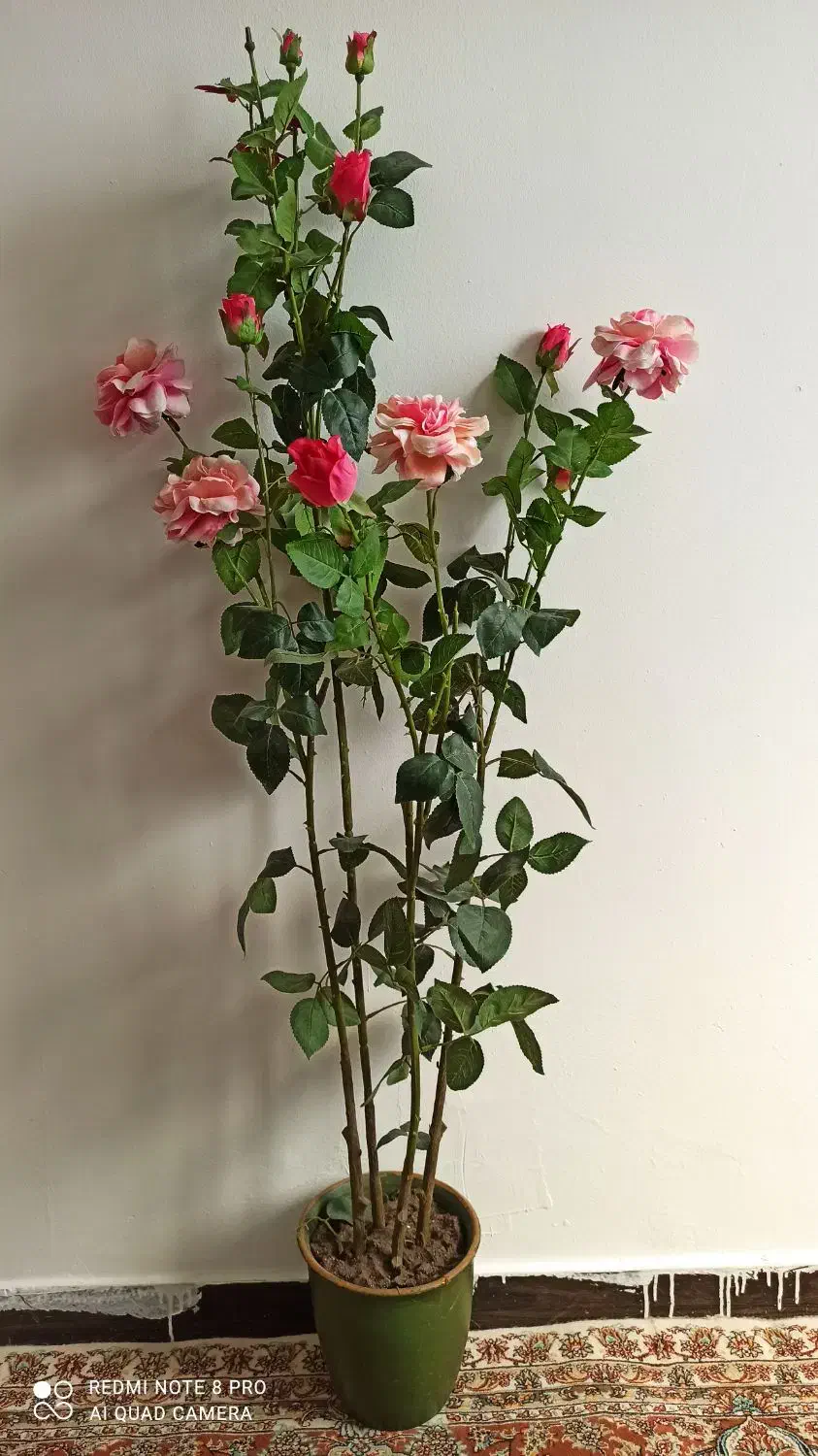 گل مصنوعی زیبا|گل مصنوعی|هشتگرد, شهرک بعثت|دیوار